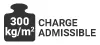 normes/fr/charge-admissible-300kgm2.jpg